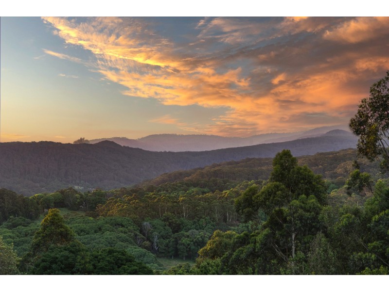 388 Repentance Creek Road, Federal NSW 2480