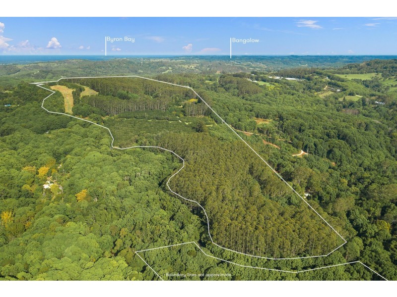 388 Repentance Creek Road, Federal NSW 2480