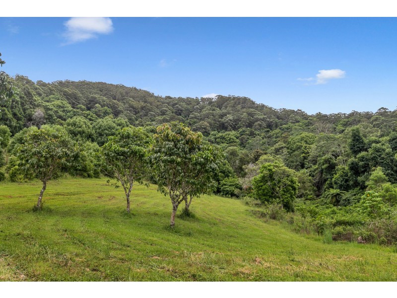 532 Upper Burringbar Road, Upper Burringbar NSW 2483