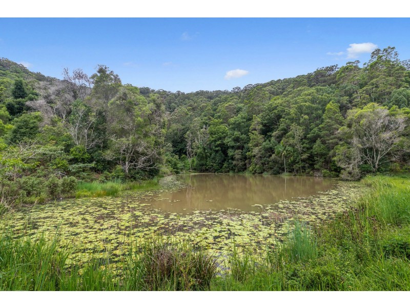 532 Upper Burringbar Road, Upper Burringbar NSW 2483