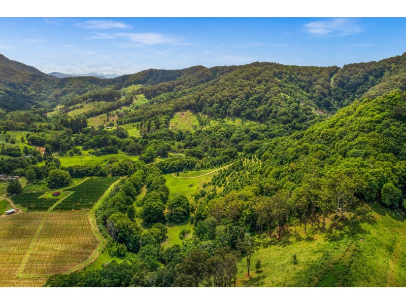 532 Upper Burringbar Road, Upper Burringbar NSW 2483