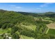 532 Upper Burringbar Road, Upper Burringbar NSW 2483