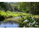 532 Upper Burringbar Road, Upper Burringbar NSW 2483