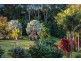 149 The Manse Road, Myocum NSW 2481