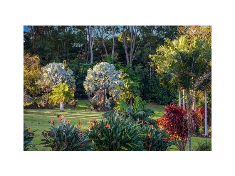 149 The Manse Road, Myocum NSW 2481