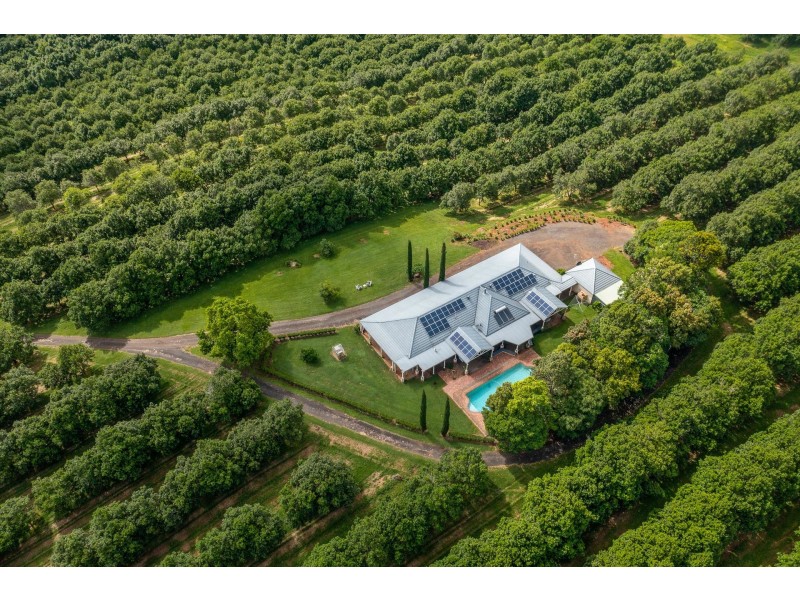 43 Lychee Drive, Rosebank NSW 2480