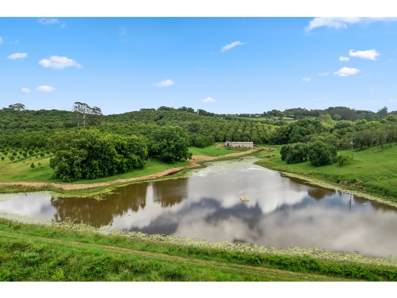 43 Lychee Drive, Rosebank NSW 2480