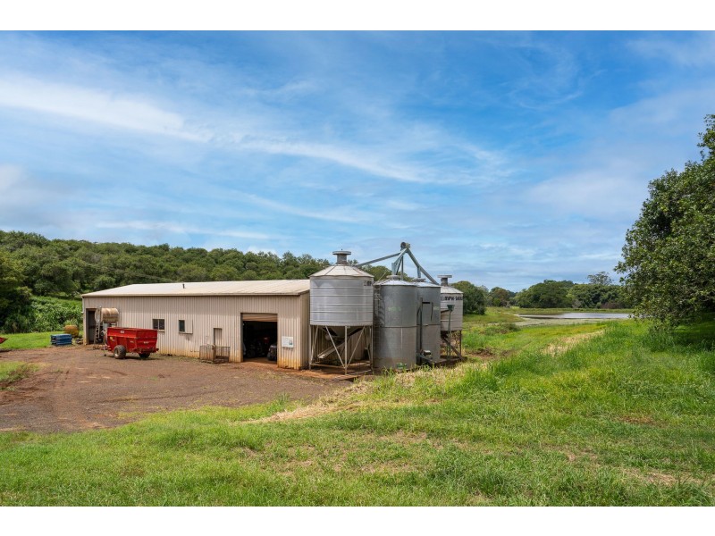 43 Lychee Drive, Rosebank NSW 2480