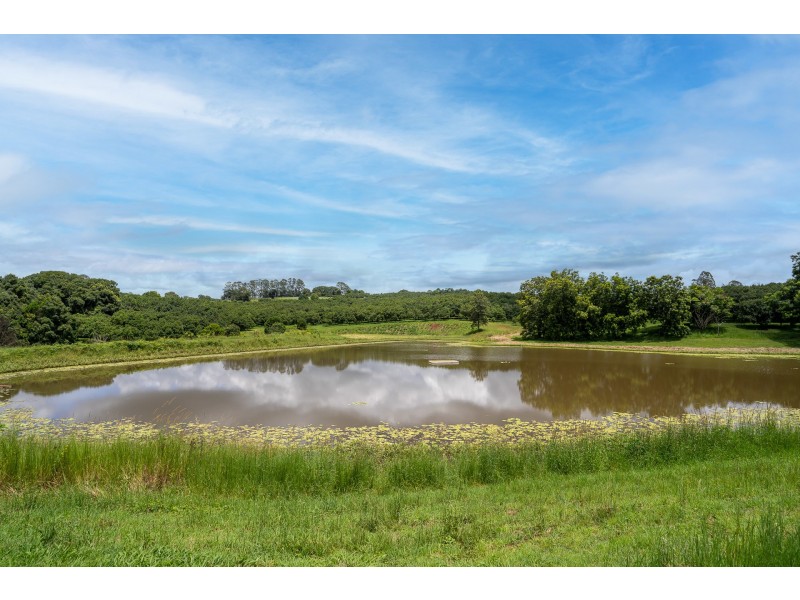 43 Lychee Drive, Rosebank NSW 2480