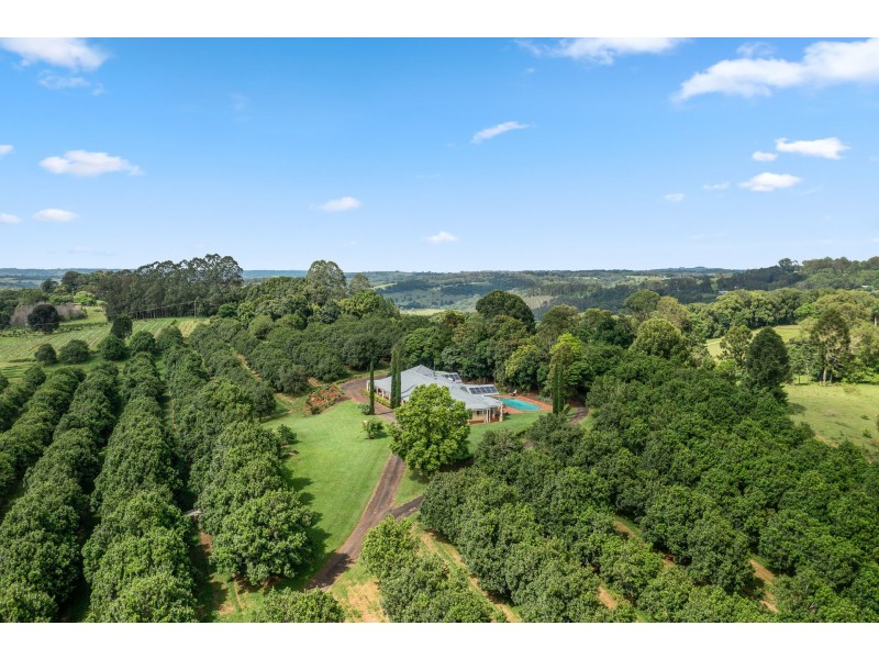 43 Lychee Drive, Rosebank NSW 2480