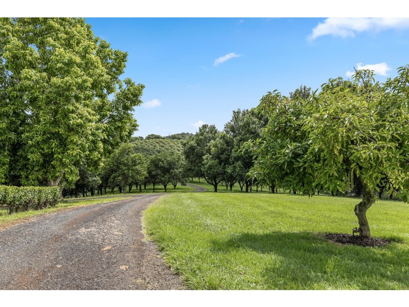 43 Lychee Drive, Rosebank NSW 2480