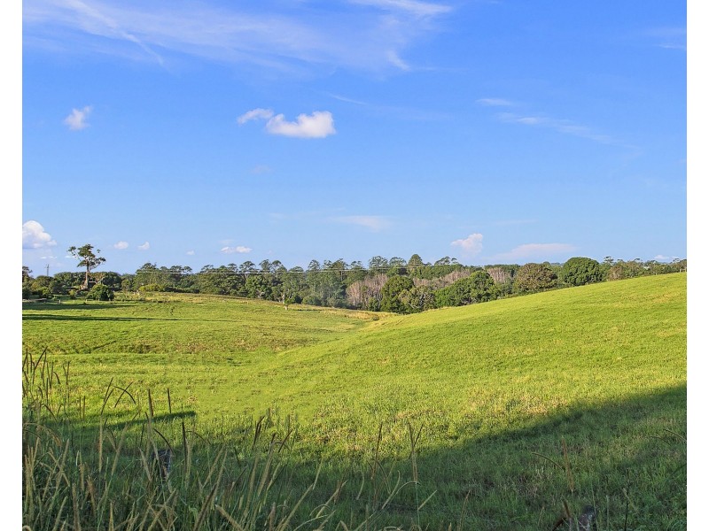 349 Federal Drive, Federal NSW 2480