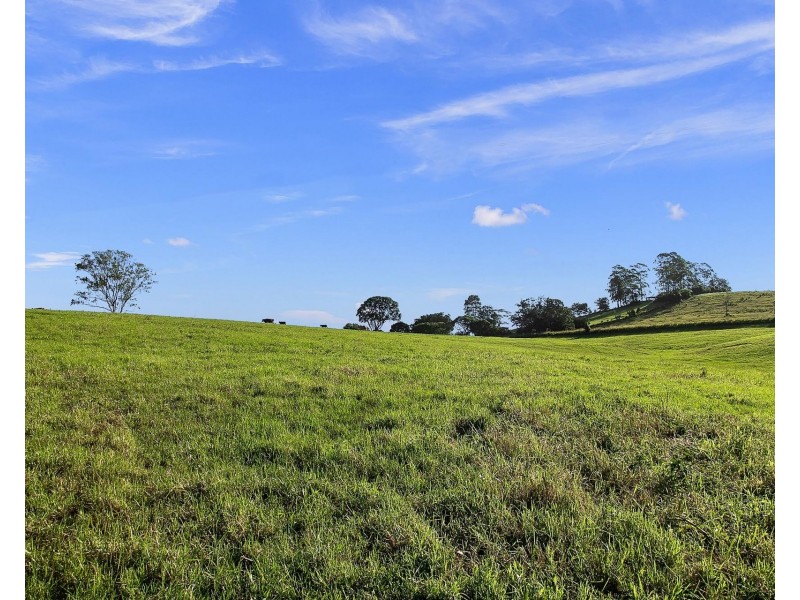 349 Federal Drive, Federal NSW 2480