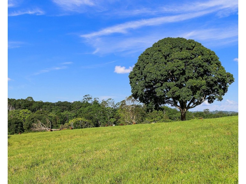 349 Federal Drive, Federal NSW 2480