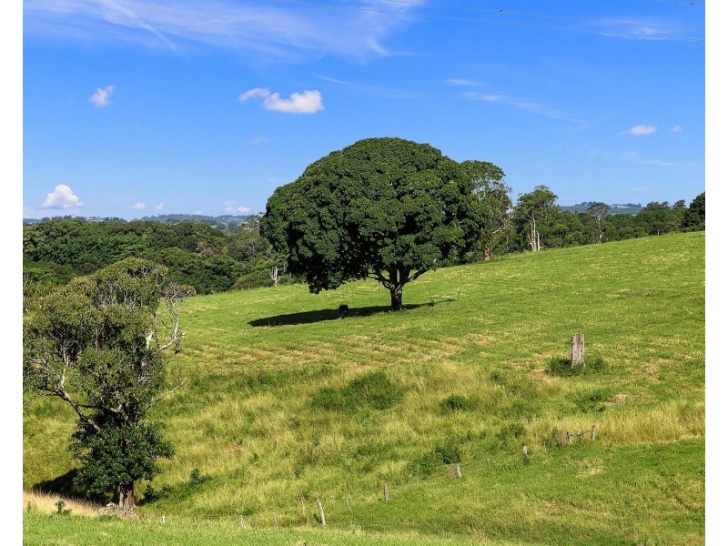 349 Federal Drive, Federal NSW 2480