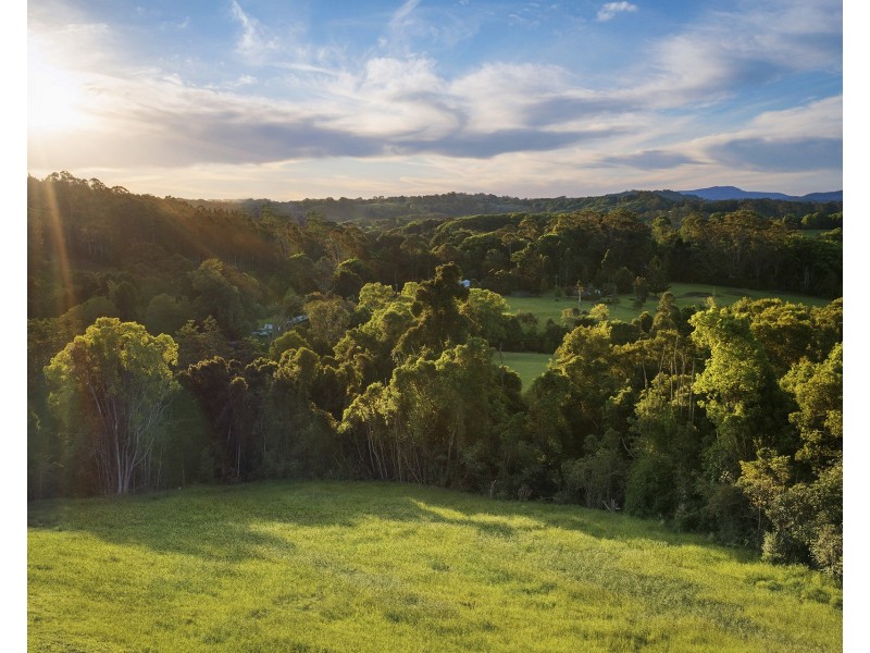541 Friday Hut Road, Possum Creek NSW 2479