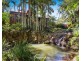 541 Friday Hut Road, Possum Creek NSW 2479