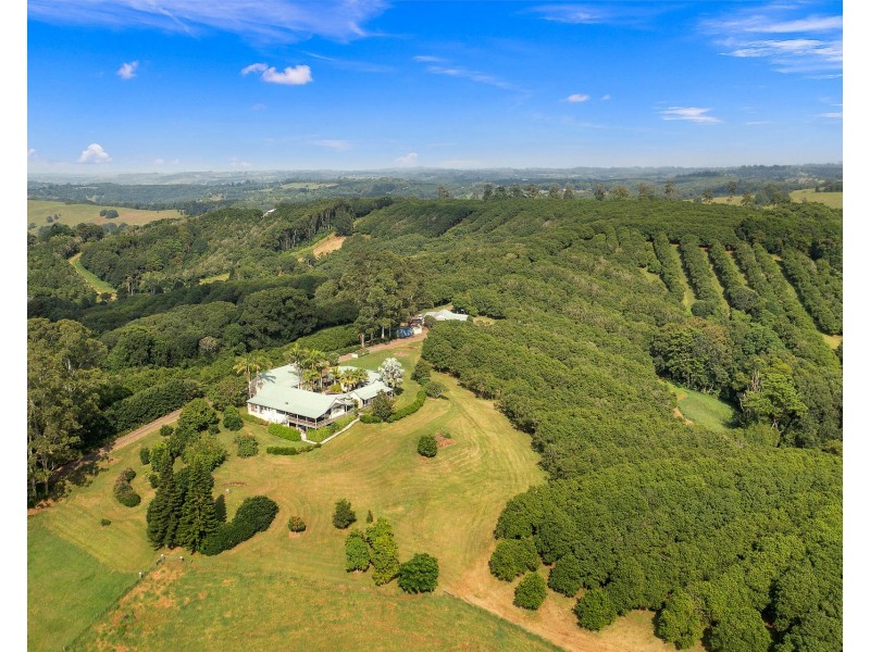 447 Ridgewood Road, Rosebank NSW 2480