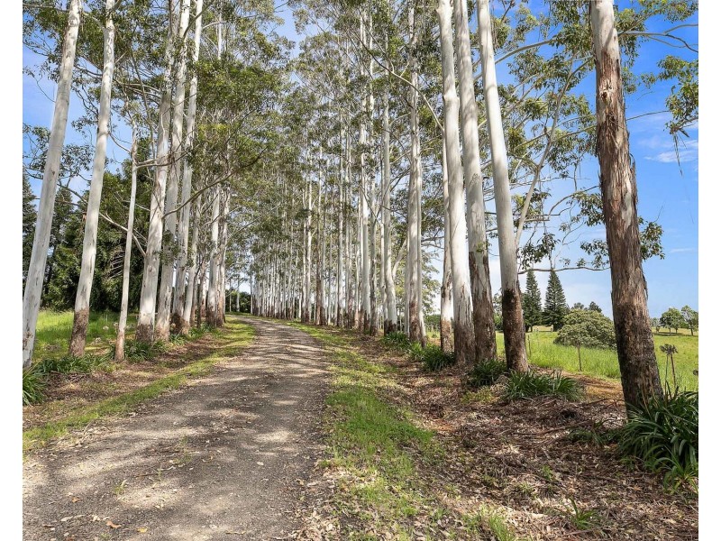 447 Ridgewood Road, Rosebank NSW 2480