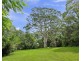 240 The Manse Road, Myocum NSW 2481