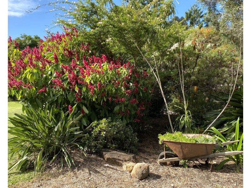 107 Myocum Downs Drive, Myocum NSW 2481