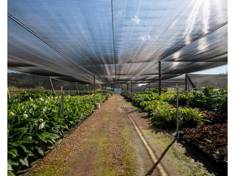 598 Myocum Road, Myocum NSW 2481