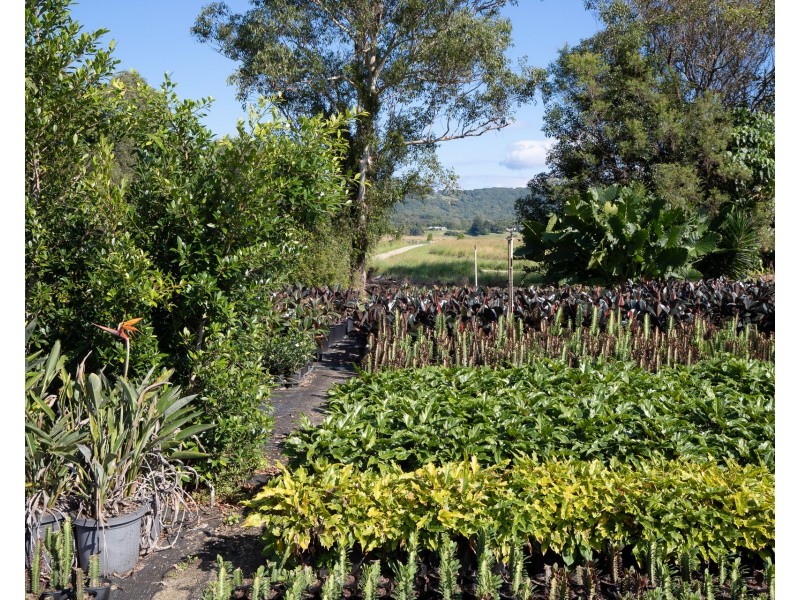 598 Myocum Road, Myocum NSW 2481