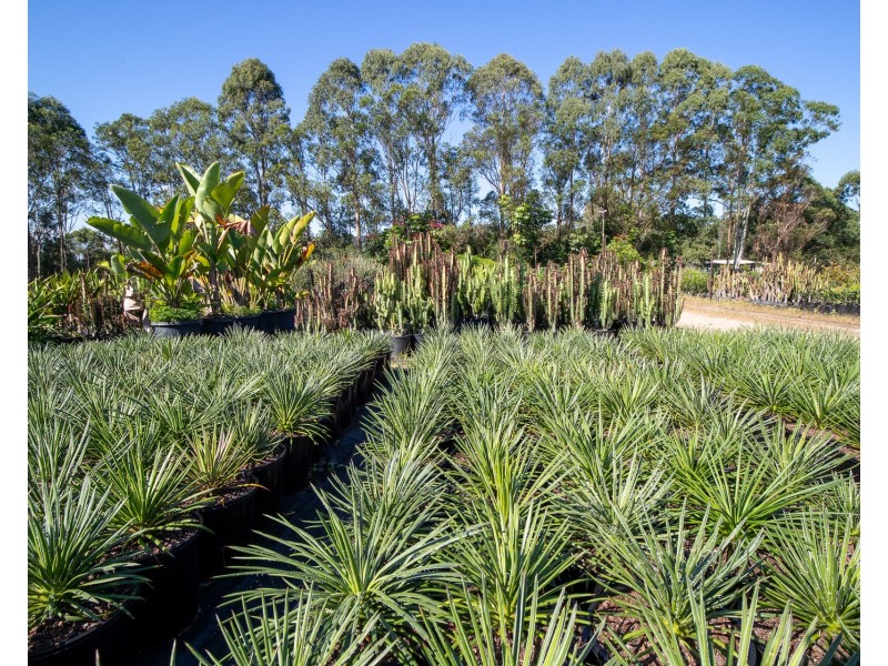 598 Myocum Road, Myocum NSW 2481