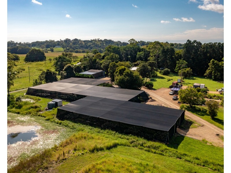 598 Myocum Road, Myocum NSW 2481