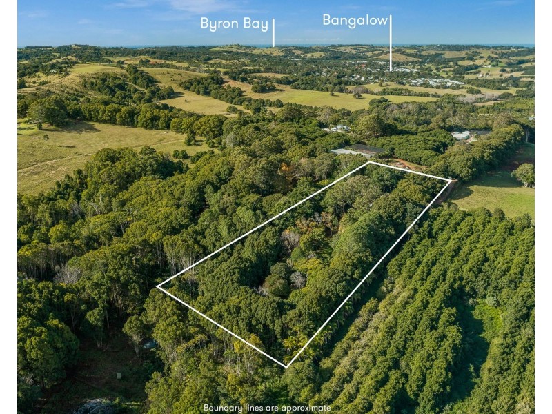 788 Friday Hut Road, Binna Burra NSW 2479