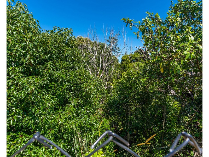 1B Chinbible Avenue, Mullumbimby NSW 2482