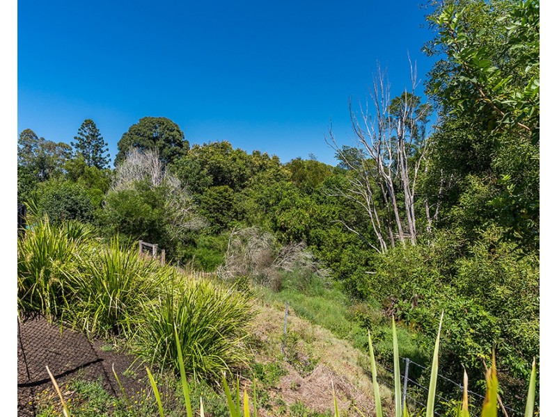 1A Chinbible Avenue, Mullumbimby NSW 2482