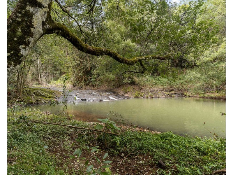 136 Repentance Creek Road, Goonengerry NSW 2482