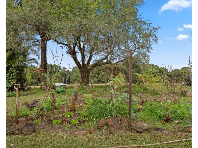 136 Repentance Creek Road, Goonengerry NSW 2482