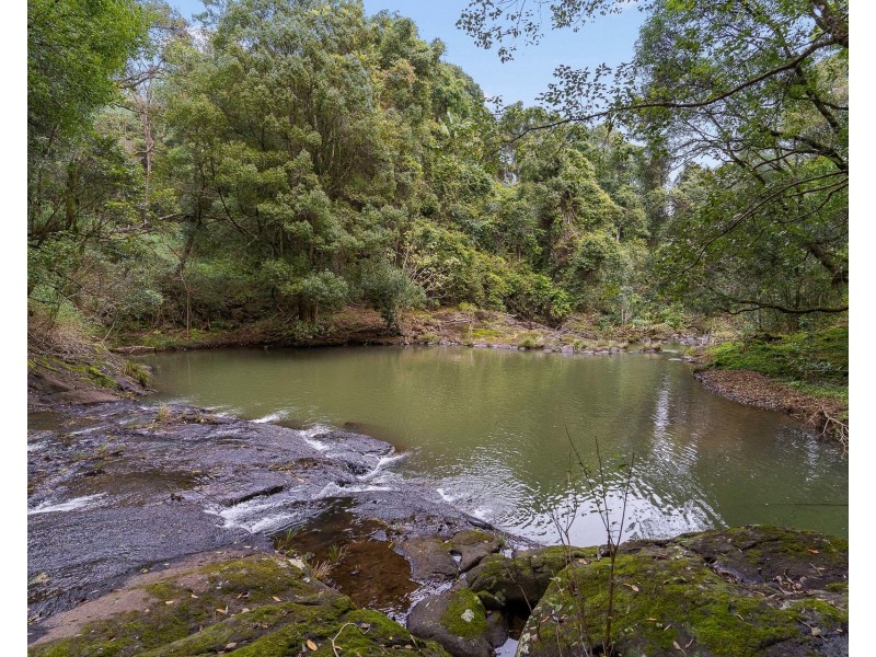 136 Repentance Creek Road, Goonengerry NSW 2482