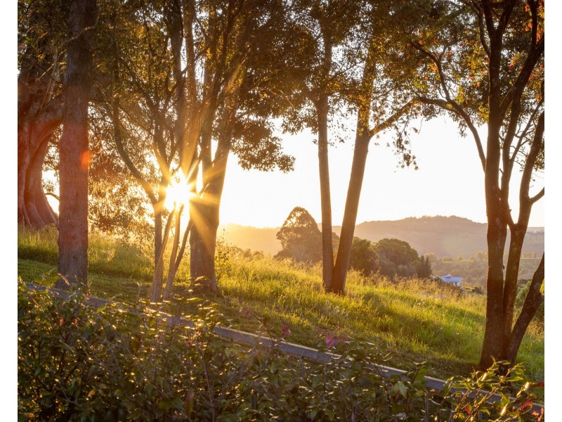 264 Friday Hut Road, Possum Creek NSW 2479