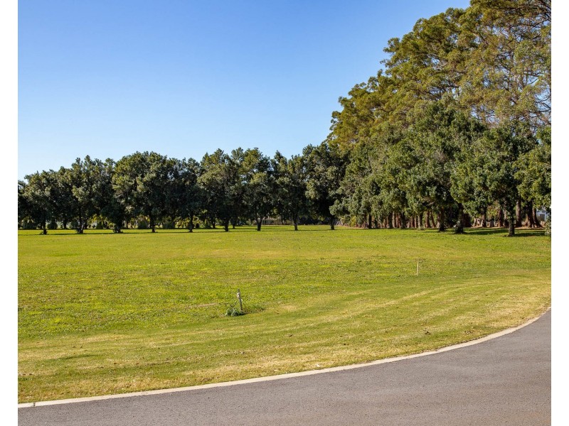 19 Cuckoo Dove Place, Ewingsdale NSW 2481