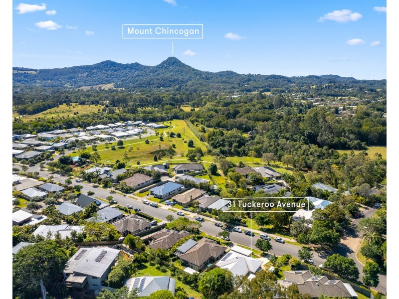 31 Tuckeroo Avenue, Mullumbimby NSW 2482