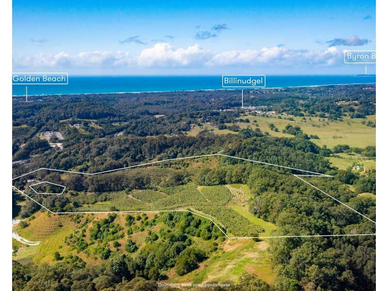 26 Billinudgel Road, Billinudgel NSW 2483