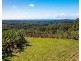 26 Billinudgel Road, Billinudgel NSW 2483
