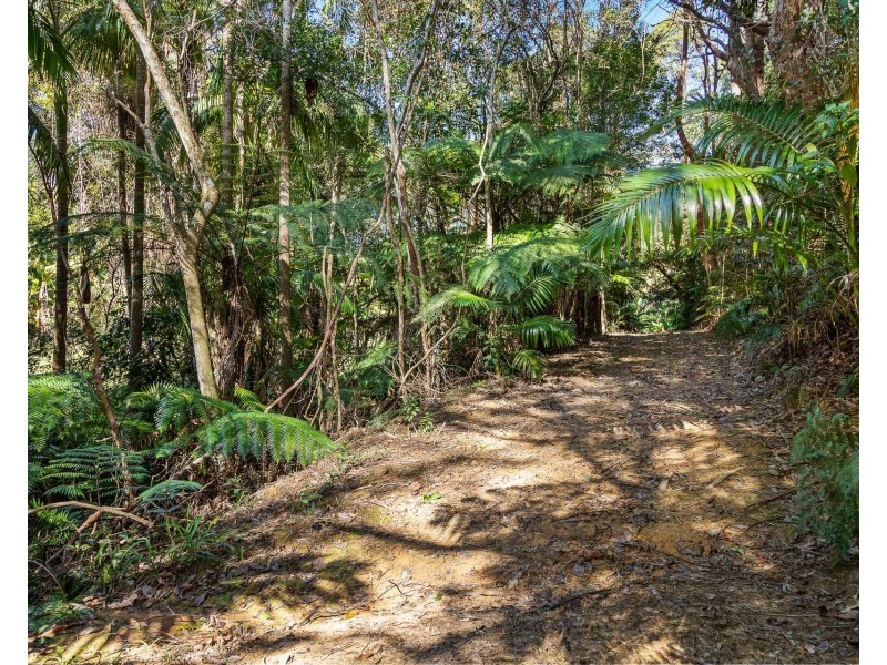 26 Billinudgel Road, Billinudgel NSW 2483