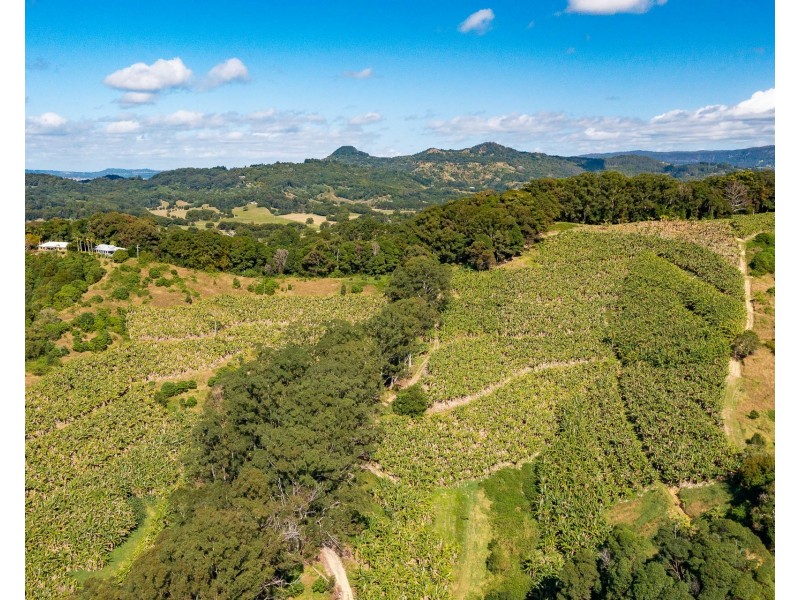 26 Billinudgel Road, Billinudgel NSW 2483