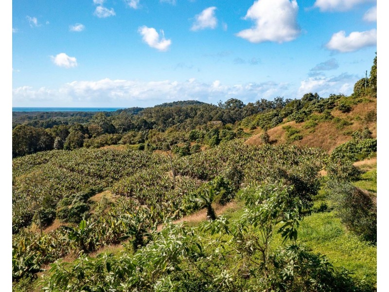 26 Billinudgel Road, Billinudgel NSW 2483