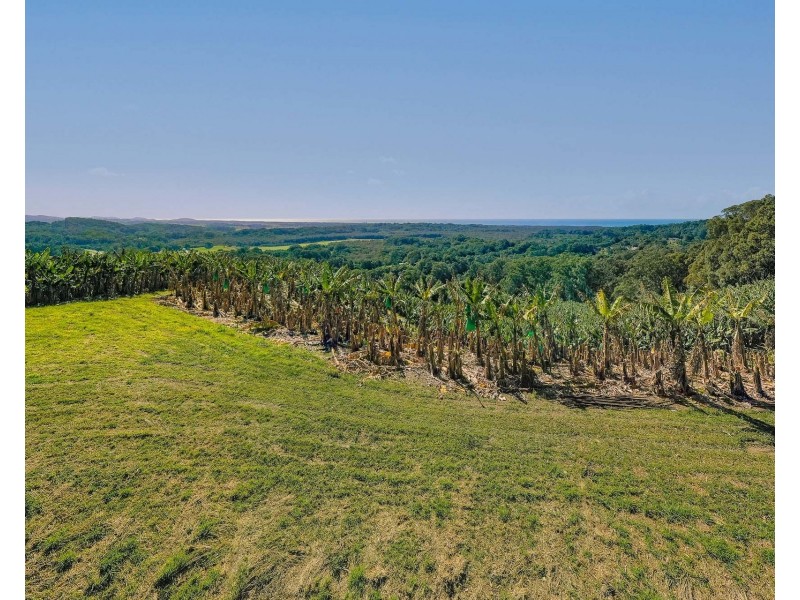 26 Billinudgel Road, Billinudgel NSW 2483