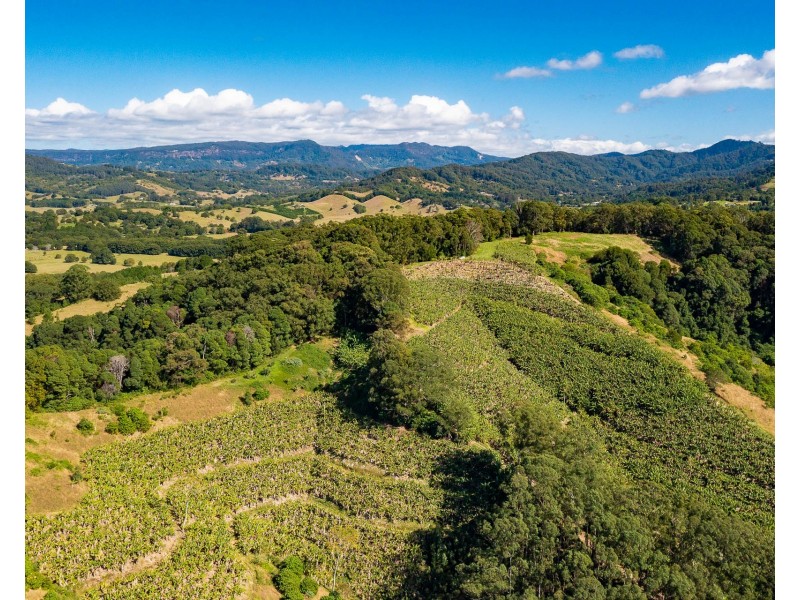 26 Billinudgel Road, Billinudgel NSW 2483