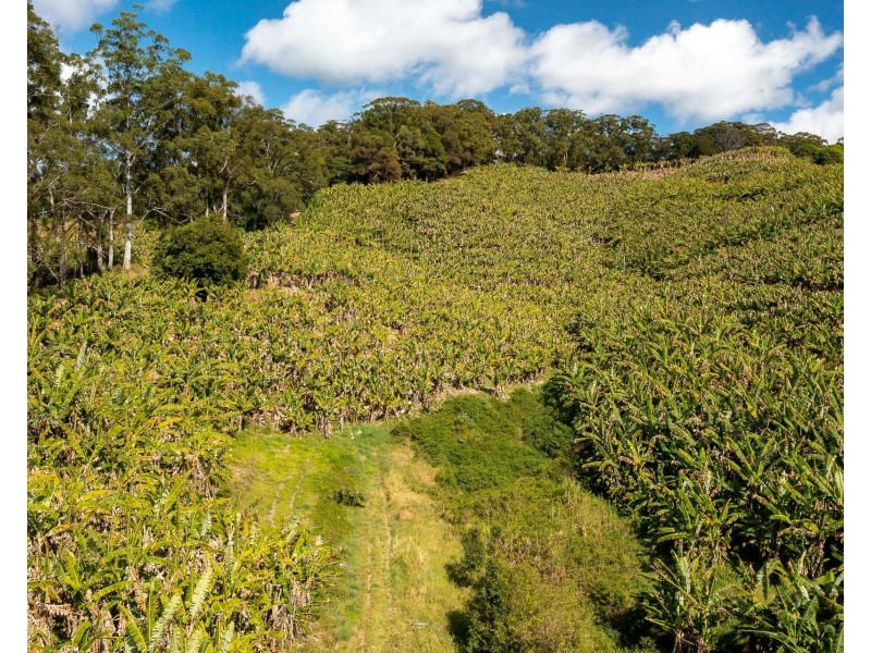 26 Billinudgel Road, Billinudgel NSW 2483