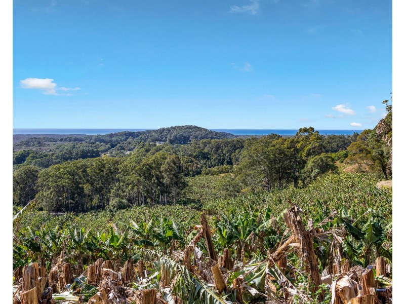 26 Billinudgel Road, Billinudgel NSW 2483