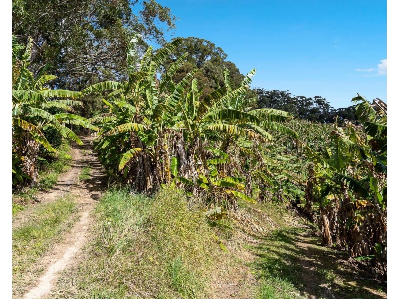 26 Billinudgel Road, Billinudgel NSW 2483