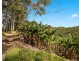 26 Billinudgel Road, Billinudgel NSW 2483
