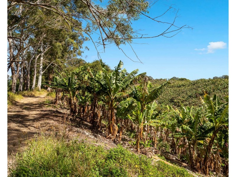 26 Billinudgel Road, Billinudgel NSW 2483